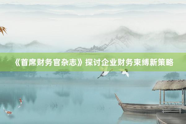 《首席财务官杂志》探讨企业财务束缚新策略